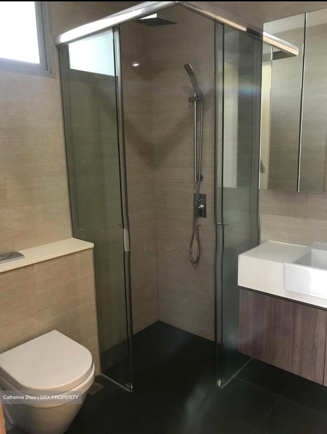 Casa Cambio (D19), Condominium #533095991